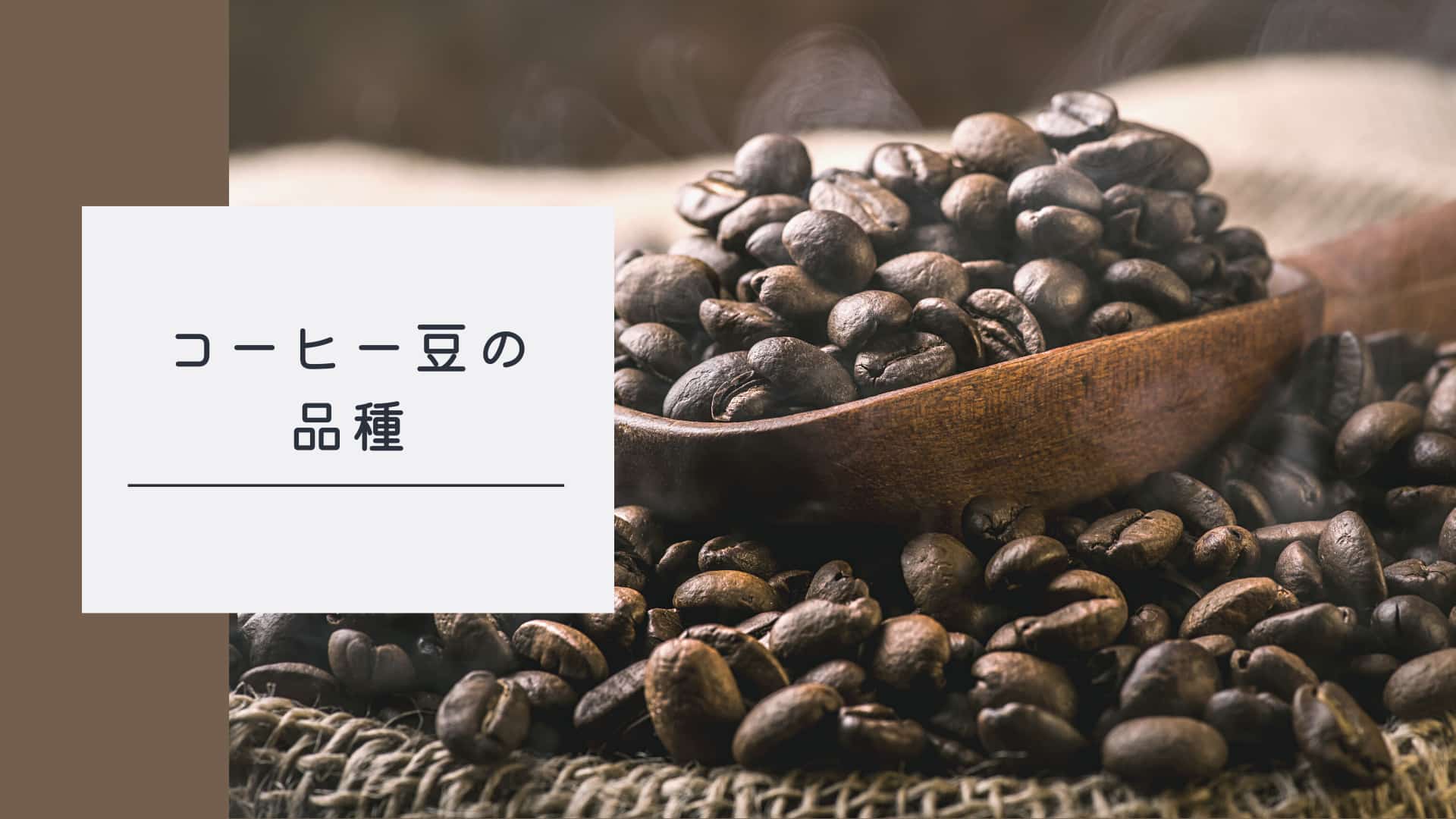 コーヒー豆の品種（アラビカ種・ロブスタ種・リベリカ種）