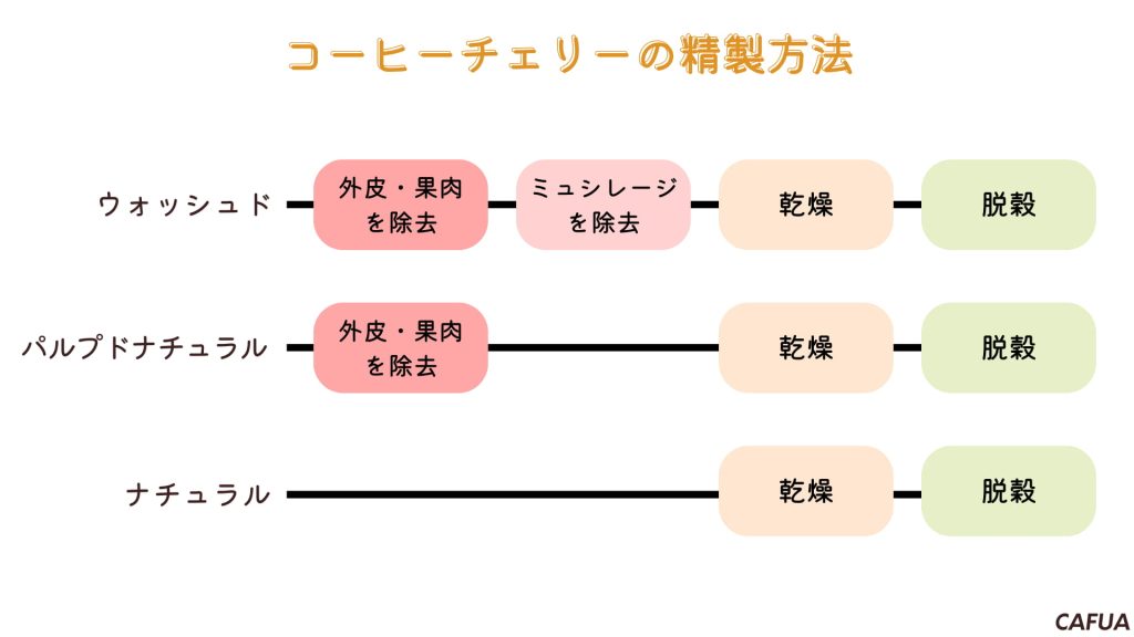 ウォッシュド、ナチュラル、ハニープロセスの違いって?コーヒー精製方法について詳しく解説 – CAFUA